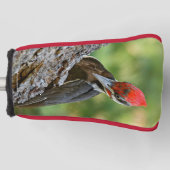 Stunning Portrait of Pileated Woodpecker on Tree Golfheadcover (Voorkant)