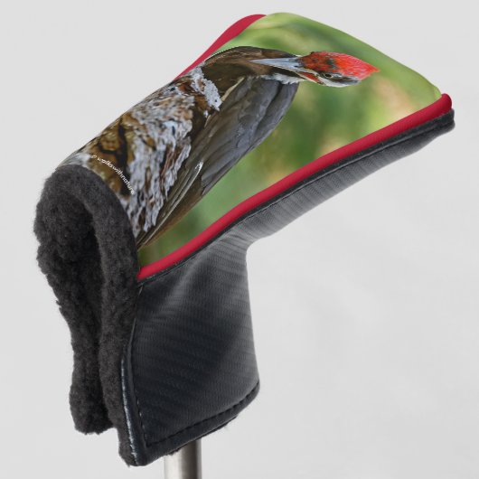 Stunning Portrait of Pileated Woodpecker on Tree Golfheadcover (3/4 voorkant)