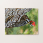 Stunning Portrait of Pileated Woodpecker on Tree Legpuzzel (Horizontaal)