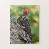 Stunning Portrait of Pileated Woodpecker on Tree Legpuzzel (Verticaal)