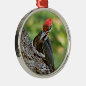 Stunning Portrait of Pileated Woodpecker on Tree Metalen Ornament (Rechts)