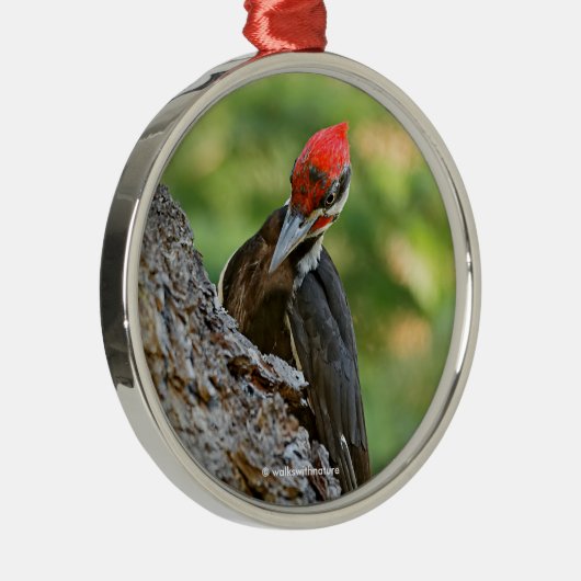 Stunning Portrait of Pileated Woodpecker on Tree Metalen Ornament (Rechts)