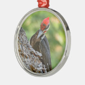 Stunning Portrait of Pileated Woodpecker on Tree Metalen Ornament (Links)