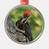 Stunning Portrait of Pileated Woodpecker on Tree Metalen Ornament (Voorkant)