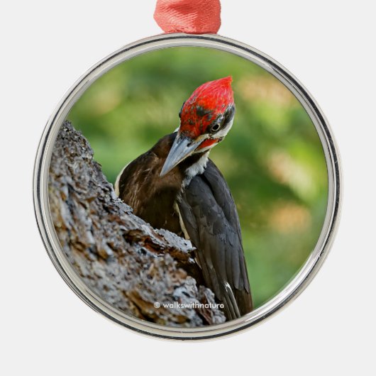 Stunning Portrait of Pileated Woodpecker on Tree Metalen Ornament (Voorkant)