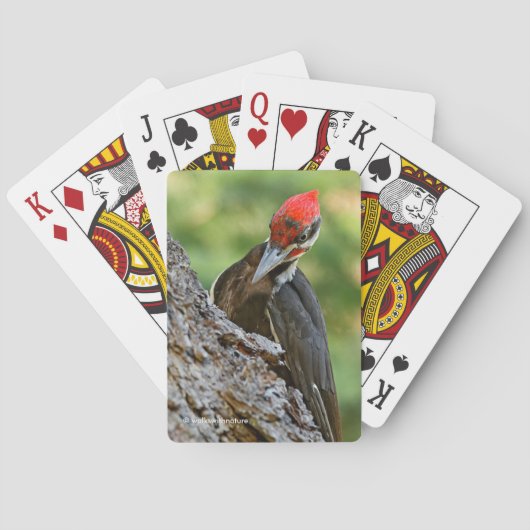 Stunning Portrait of Pileated Woodpecker on Tree Pokerkaarten (Achterkant)
