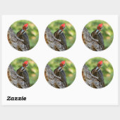 Stunning Portrait of Pileated Woodpecker on Tree Ronde Sticker (Vel)