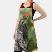 Stunning Portrait of Pileated Woodpecker on Tree Schort (Insitu)