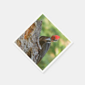Stunning Portrait of Pileated Woodpecker on Tree Servet (Hoek)