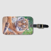 Stunning Reclining Tiger Photograph Bagagelabel (Voorkant (horizontaal))