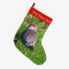 Stunning Red-Shafted Northern Flicker Woodpecker Grote Kerstsok