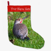 Stunning Red-Shafted Northern Flicker Woodpecker Grote Kerstsok (Voorkant)