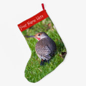 Stunning Red-Shafted Northern Flicker Woodpecker Grote Kerstsok (Achterkant (Hangend))