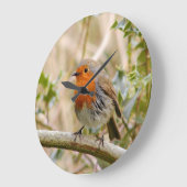 Stunning Robin Grote Klok (Hoek)