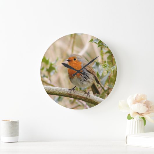 Stunning Robin Grote Klok (Huis)