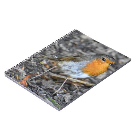 Stunning Robin Notitieboek (Linkerzijde)