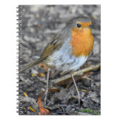 Stunning Robin Notitieboek (Voorkant)