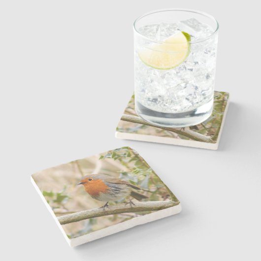 Stunning Robin Stenen Onderzetter (Zijkant)