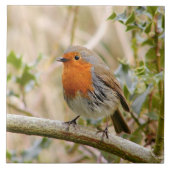 Stunning Robin Tegeltje (Voorkant)