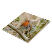 Stunning Robin Tegeltje (Zijkant)