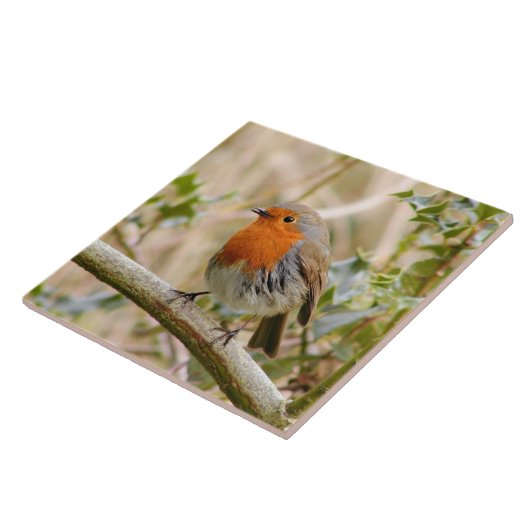 Stunning Robin Tegeltje (Zijkant)