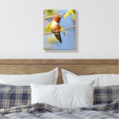 Stunning Rufous Hummingbird in Sun Canvas Afdruk (Insitu (Slaapkamer))