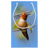 Stunning Rufous Hummingbird in Sun Klein Cadeauzakje (Achterkant)