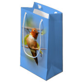 Stunning Rufous Hummingbird in Sun Klein Cadeauzakje (Voorkant Gekanteld)