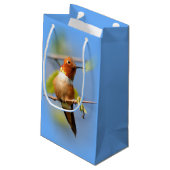 Stunning Rufous Hummingbird in Sun Klein Cadeauzakje (Achterkant Gekanteld)