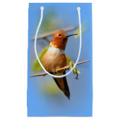Stunning Rufous Hummingbird in Sun Klein Cadeauzakje (Voorkant)