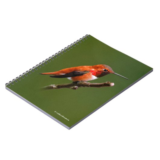 Stunning Rufous Hummingbird on Cherry Branch Notitieboek (Linkerzijde)