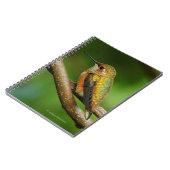 Stunning Rufous Hummingbird on Twining Vines Notitieboek (Linkerzijde)