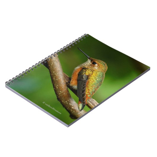 Stunning Rufous Hummingbird on Twining Vines Notitieboek (Linkerzijde)