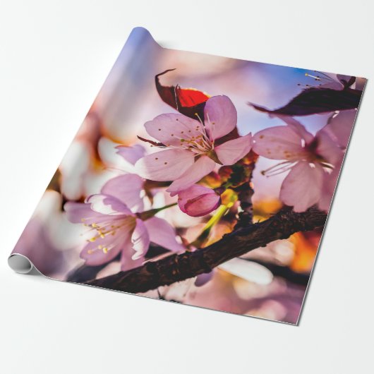 Stunning Sakura Blossom Cadeaupapier (Uitgerold)
