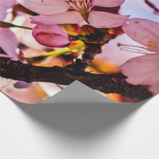 Stunning Sakura Blossom Cadeaupapier (Hoek)