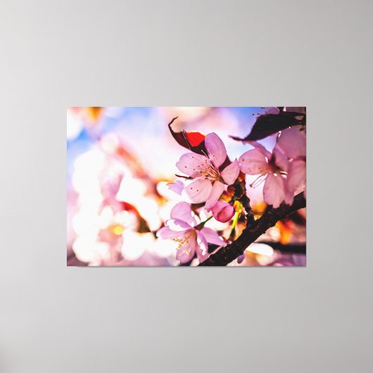 Stunning Sakura Blossom Canvas Afdruk (Voorkant)