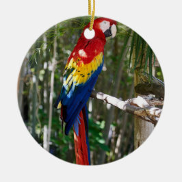 Stunning Scarlet Macaw Parrot Keramisch Ornament