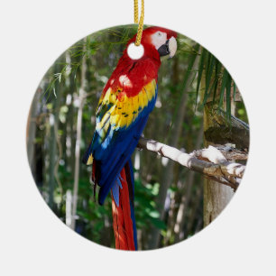 Stunning Scarlet Macaw Parrot Keramisch Ornament