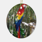 Stunning Scarlet Macaw Parrot Keramisch Ornament (Links)