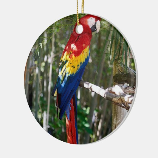 Stunning Scarlet Macaw Parrot Keramisch Ornament (Links)
