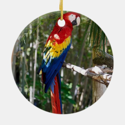 Stunning Scarlet Macaw Parrot Keramisch Ornament (Achterkant)