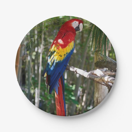 Stunning Scarlet Macaw Parrot Papieren Bordje (Voorkant)