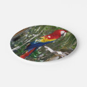 Stunning Scarlet Macaw Parrot Papieren Bordje (Gekanteld)