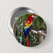 Stunning Scarlet Macaw Parrot Ronde Button 7,6 Cm (Voorkant /achterkant)