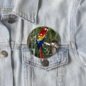 Stunning Scarlet Macaw Parrot Ronde Button 7,6 Cm (In situ)