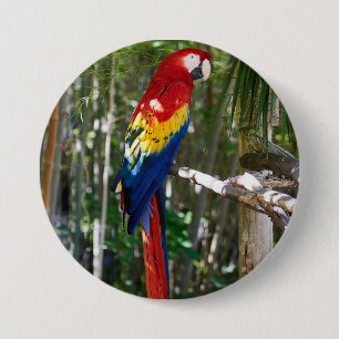 Stunning Scarlet Macaw Parrot Ronde Button 7,6 Cm