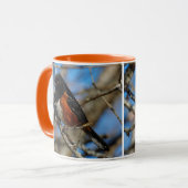 Stunning Spotted Towee Songbird on Branch Mok (Voorkant links)