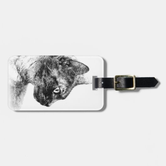 Stunning Stella de Grey Cat Sketch Bagagelabel (Voorkant horizontaal)