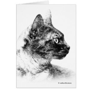 Stunning Stella de Grijze Kat Eén fijne katje