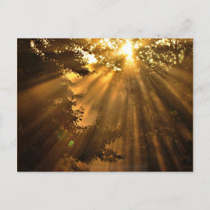 Stunning Sunset Photo met Crazy Sunbeams Briefkaart